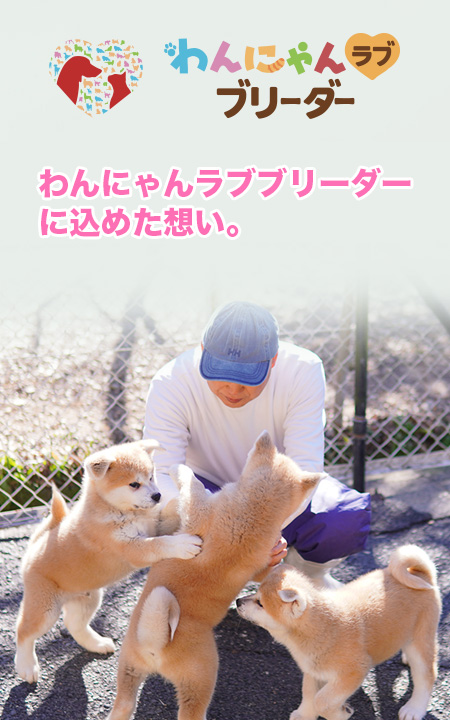 「家族のひとりとして⼤切に育ててきました」それが、わたしたちのブリーダー・プライド。